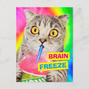 Cat Drink Slushie Uitnodiging Briefkaart