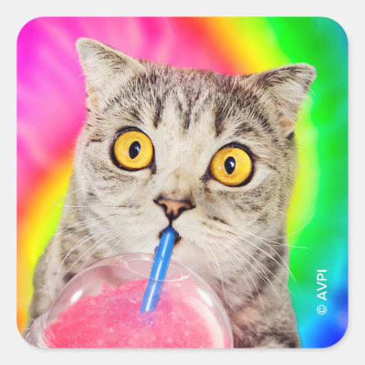 Cat Drink Slushie Vierkante Sticker (Voorkant)