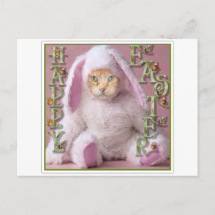 Cat Easter Bunny Claude Feestdagenkaart
