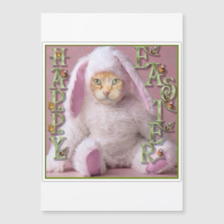Cat Easter Bunny Claude Holiday Card
