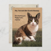 Cat-Easterbunny 😸 🐰 Briefkaart (Voorkant / Achterkant)