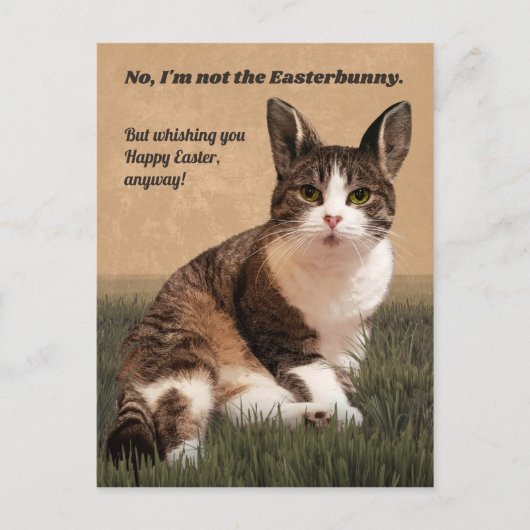 Cat-Easterbunny 😸 🐰 Briefkaart (Voorkant)