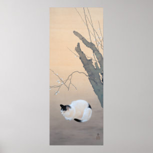 Cat en Plum Blossom Poster