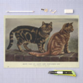 Cat Ephemera Decoupage Bruin Sinaasappel Tabby Tissuepapier (Craft)