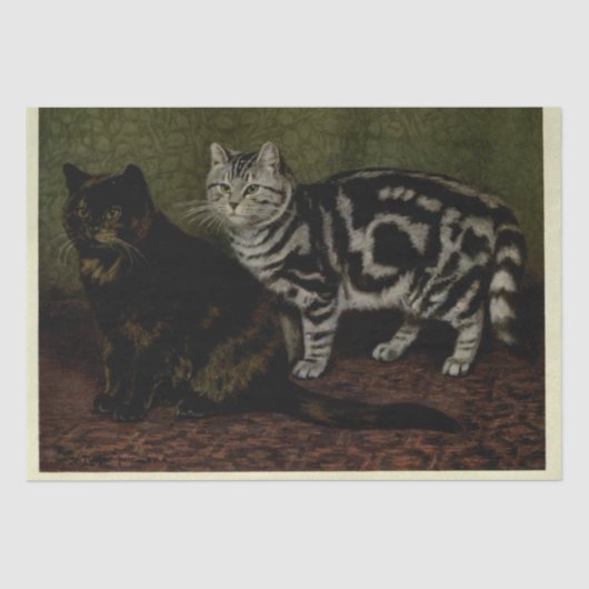 Cat Ephemera Decoupage Tortoiseshell Zilveren Tabb Tissuepapier (Voorkant)