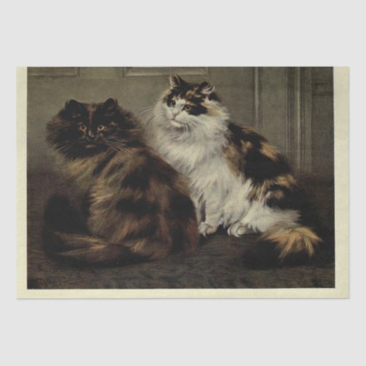 Cat Ephemera Decoupage Tortoiseshell Zwart Wit Tissuepapier (Voorkant)