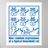 Cat Expressions poster (Voorkant)