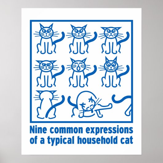 Cat Expressions poster (Voorkant)