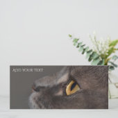 Cat Eye-Macro van Shirley Taylor (Staand voorkant)