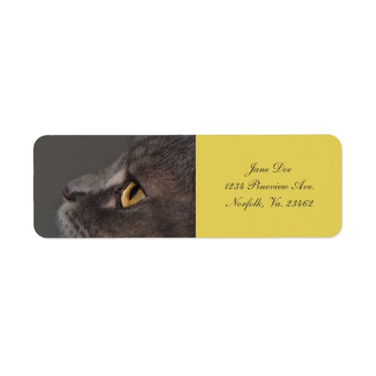 Cat Eye-Macro van Shirley Taylor Etiket (Voorkant)