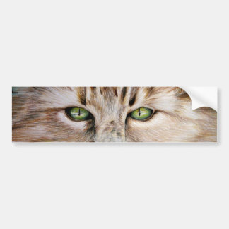 Cat Eyes Bumpersticker