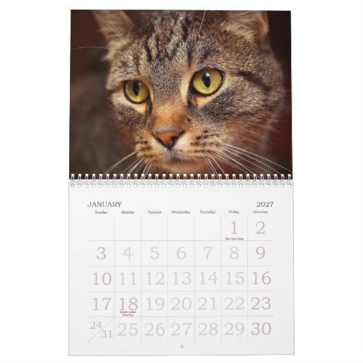 Cat Eyes Kalender (Jan 2027)