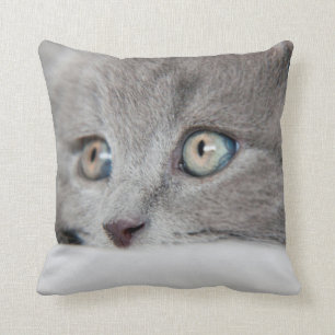 Cat Eyes Kussen
