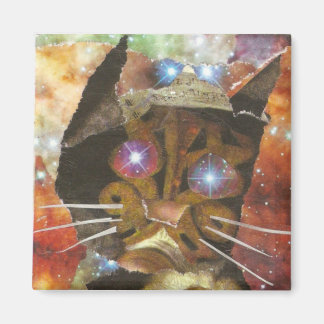 Cat Eyes Magneet