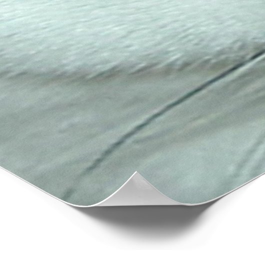 Cat Eyes Poster (Hoek)