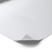 Cat Eyes Poster (Hoek)