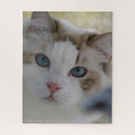 Cat Face Puzzle Legpuzzel