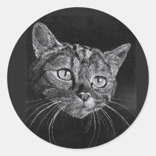 Cat Face Sticker