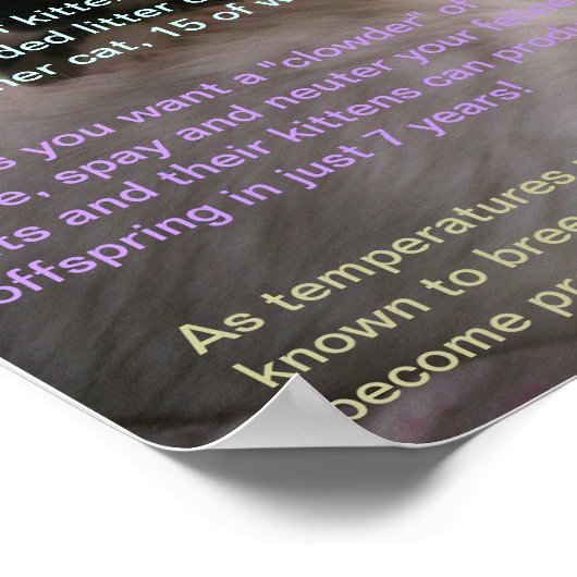 Cat Feit 2 Poster (Hoek)