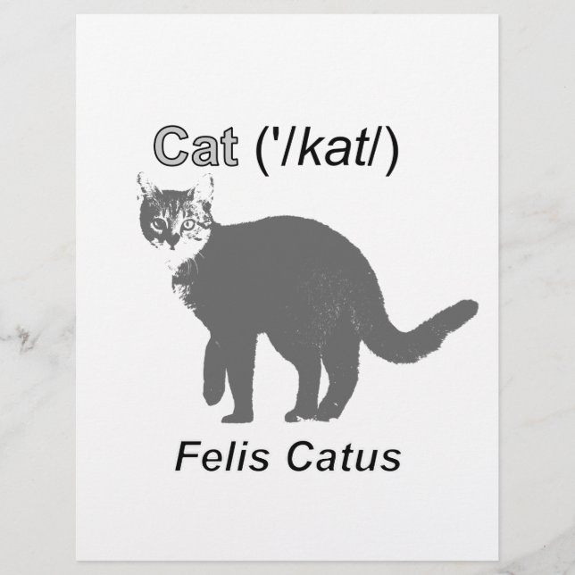 Cat Felis Catus (Voorkant)