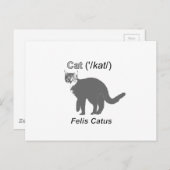 Cat Felis Catus Briefkaart (Voorkant / Achterkant)