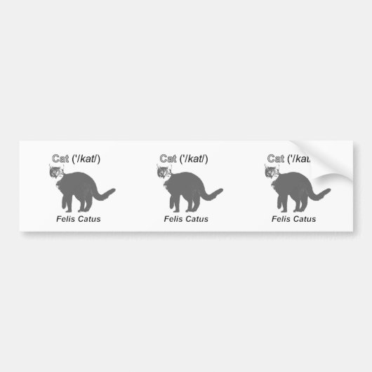 Cat Felis Catus Bumpersticker (Voorkant)