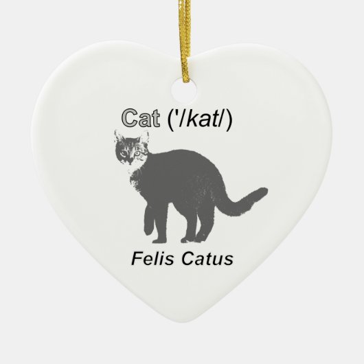 Cat Felis Catus Keramisch Ornament (Voorkant)