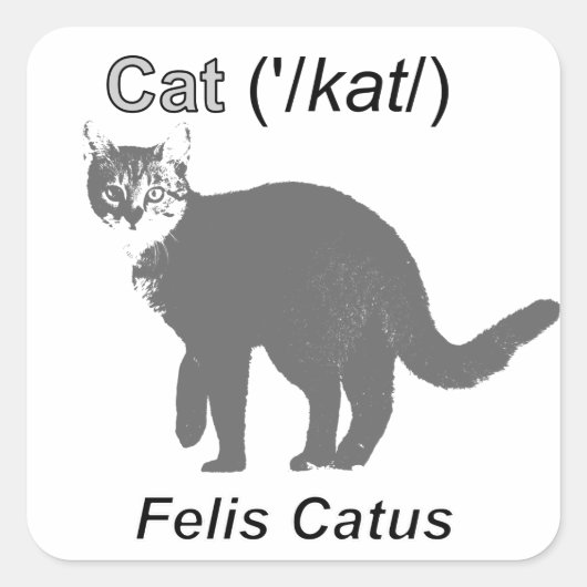 Cat Felis Catus Vierkante Sticker (Voorkant)