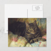 Cat Fine Art Photo Briefkaart (Voorkant / Achterkant)