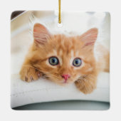 Cat First Christmas-foto Keramisch Ornament (Achterkant)