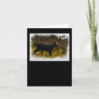 Cat Flow Animation Movie Sticker 1