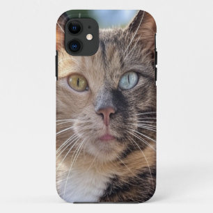 Cat foto toevoegen Aanpassen iPhone 11 Hoesje