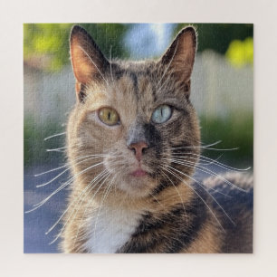 Cat foto toevoegen Aanpassen Legpuzzel