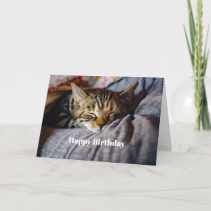 Cat Foto van Cat Cat Birthday Kaart