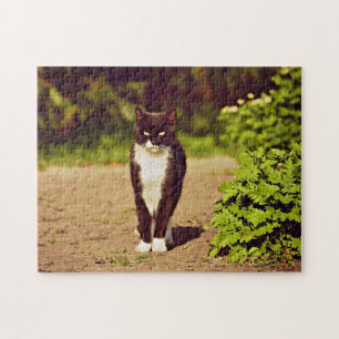 Cat-foto van Cute Black en White Tuxedo Cat Legpuzzel