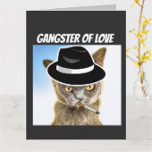 CAT GANGSTER ANNIVERSAIRE SUPERTAILLÉE Carte de vo (Fleur jaune)