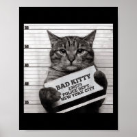 Cat Gevangenis Gevangene Bad Kat Mugshot voor Mann