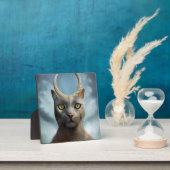 Cat God Fotoplaat (Insitu)