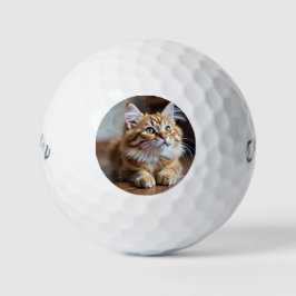 Cat grappig golfballen