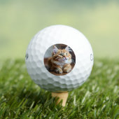 Cat grappig golfballen (Insitu Shirt)