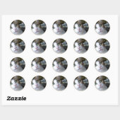 Cat Green Eyes - autocollant rond (Feuille)