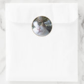 Cat Green Eyes - autocollant rond (Sac)
