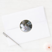 Cat Green Eyes - autocollant rond (Enveloppe)