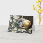 Cat Greetings Card - Wat een grotere cadeau? Kaart (Gele Bloem)