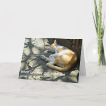 Cat Greetings Card - Wat een grotere cadeau?