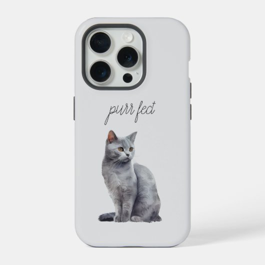 Cat gris Purr (Verso)