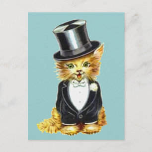 Cat Groom Briefkaart
