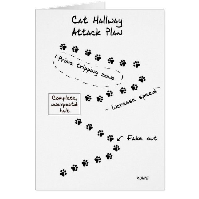 Cat Hallway Attack Plan (Voorkant)