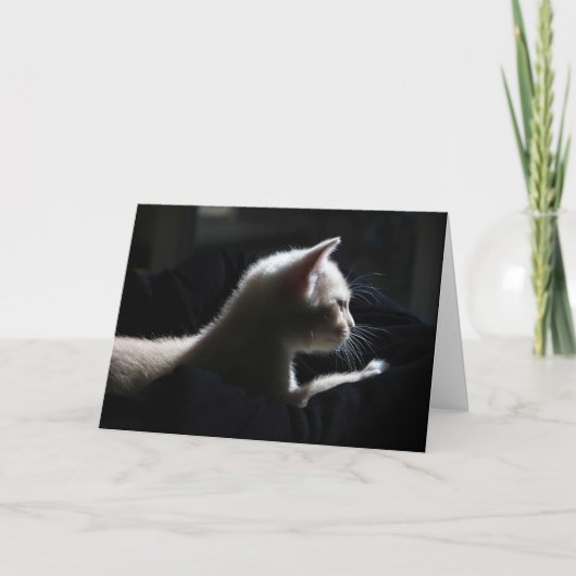 Cat Happy Birthday Kaart (Voorkant)