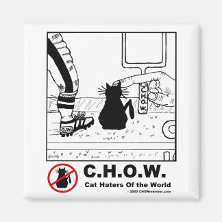 Cat Haters Football Magnet Magneet